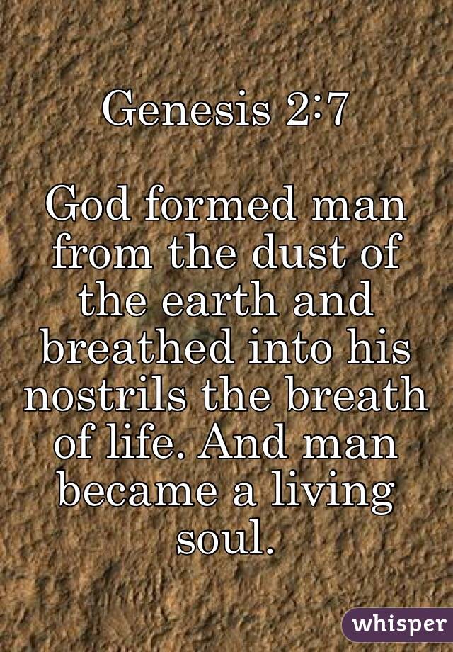 Genesis 2:7

God formed man from the dust of the earth and breathed into his nostrils the breath of life. And man became a living soul.