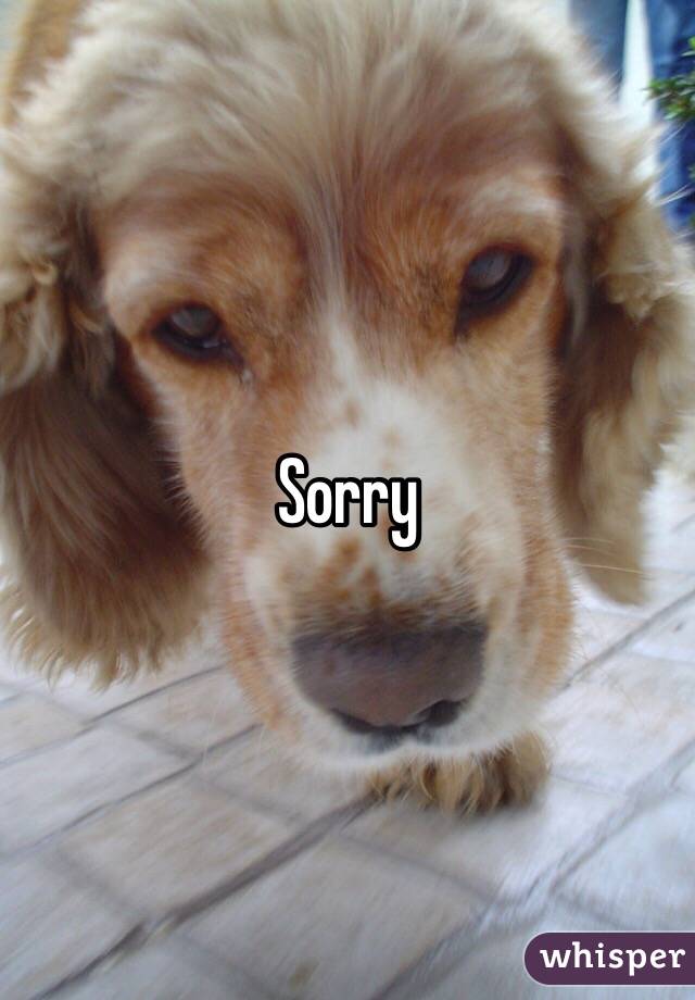 Sorry 