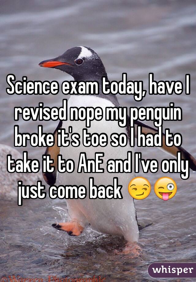 Science exam today, have I revised nope my penguin broke it's toe so I had to take it to AnE and I've only just come back 😏😜