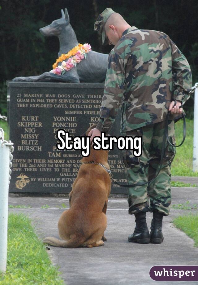 Stay strong 