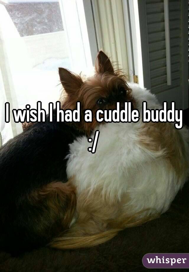I wish I had a cuddle buddy :/ 