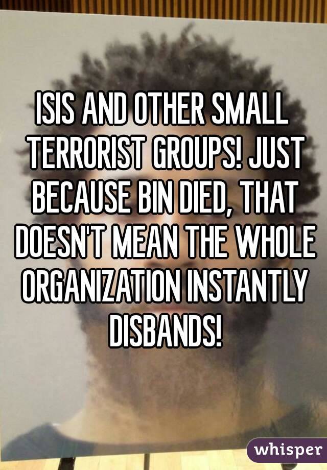 ISIS AND OTHER SMALL TERRORIST GROUPS! JUST BECAUSE BIN DIED, THAT DOESN'T MEAN THE WHOLE ORGANIZATION INSTANTLY DISBANDS!