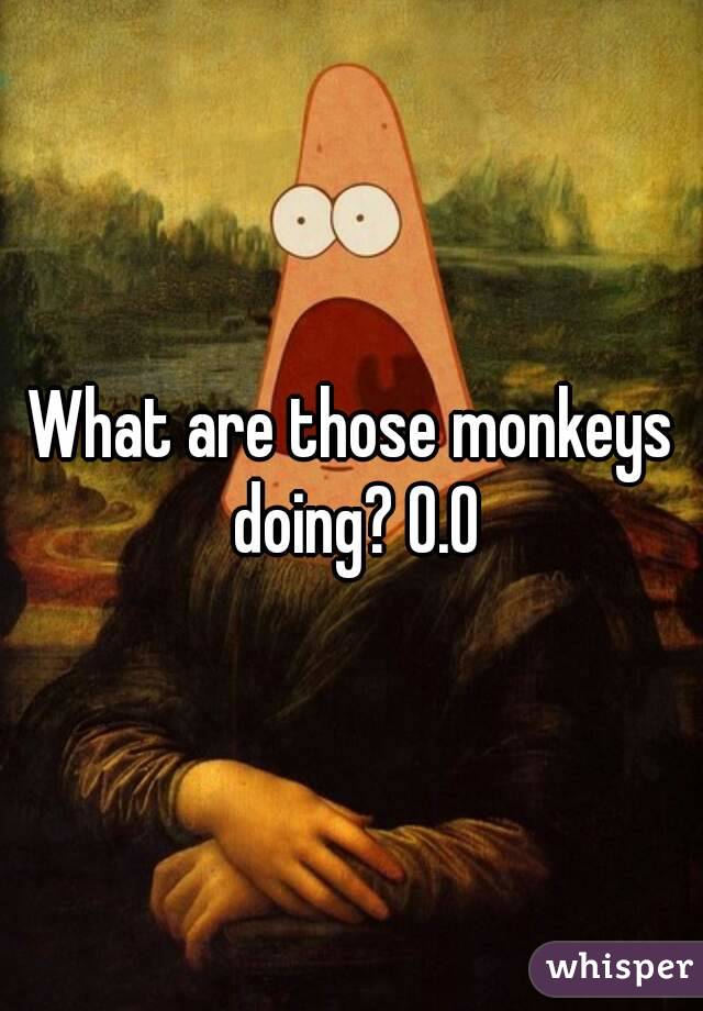 What are those monkeys doing? O.O