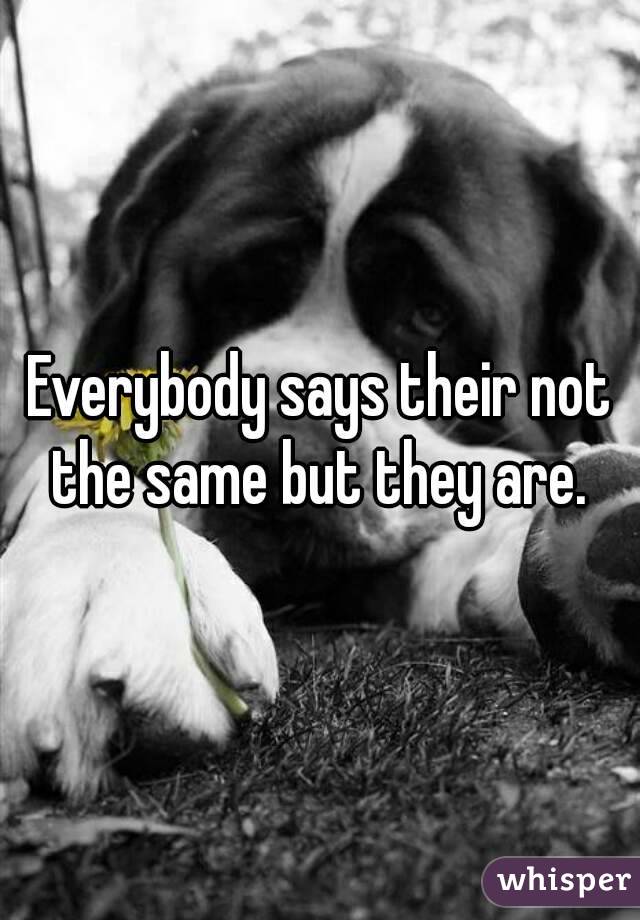Everybody says their not the same but they are. 