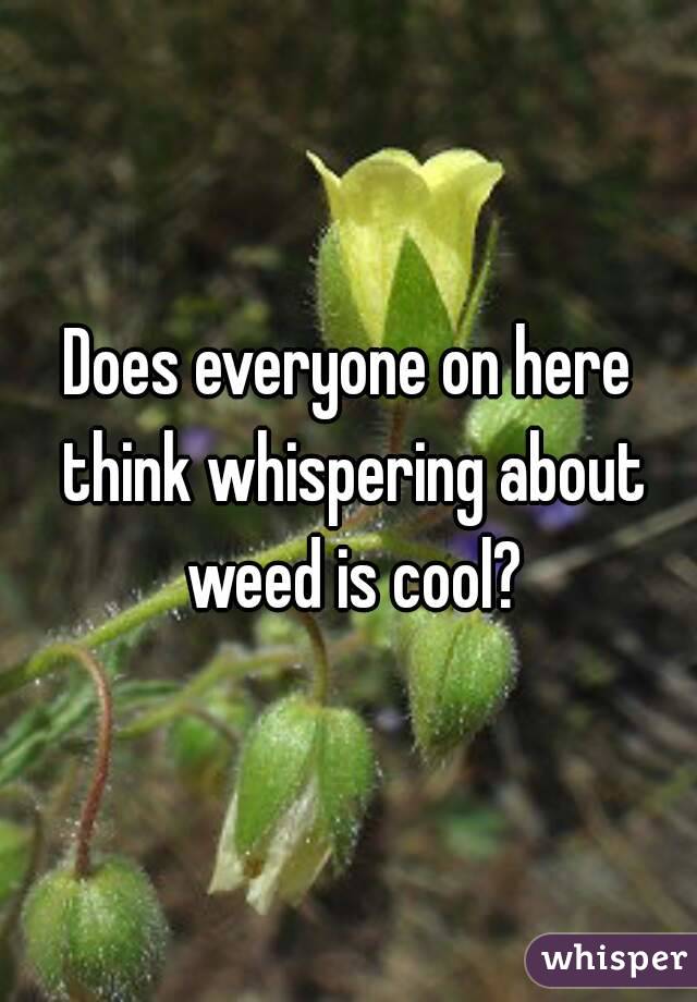 Does everyone on here think whispering about weed is cool?