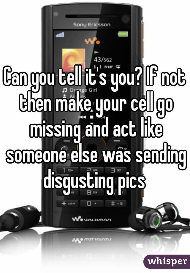 Can you tell it's you? If not then make your cell go missing and act like someone else was sending disgusting pics 