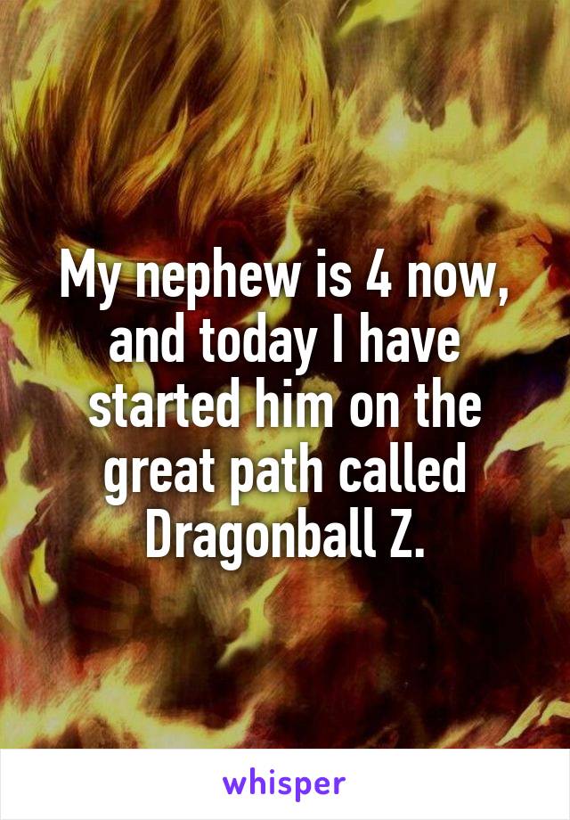 My nephew is 4 now, and today I have started him on the great path called Dragonball Z.