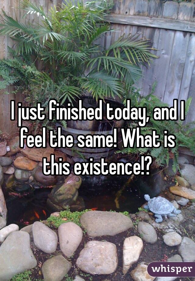 I just finished today, and I feel the same! What is this existence!? 