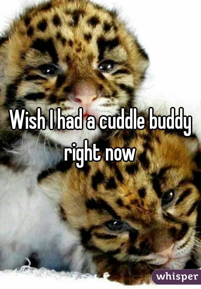 Wish I had a cuddle buddy right now 