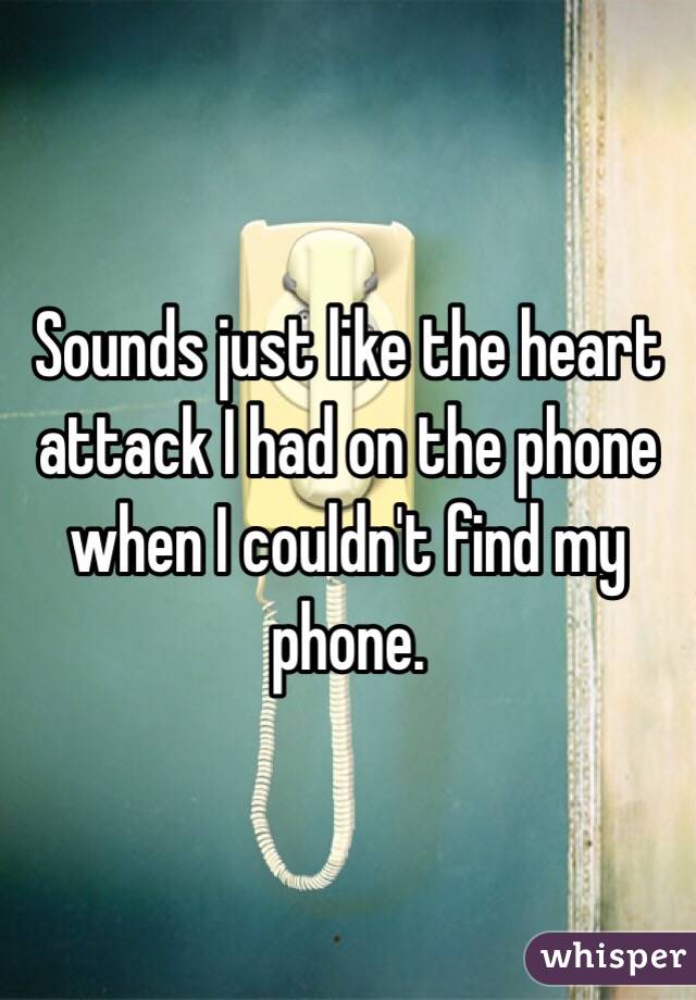 Sounds just like the heart attack I had on the phone when I couldn't find my phone. 