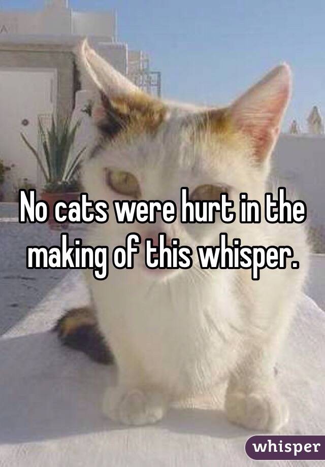 No cats were hurt in the making of this whisper.