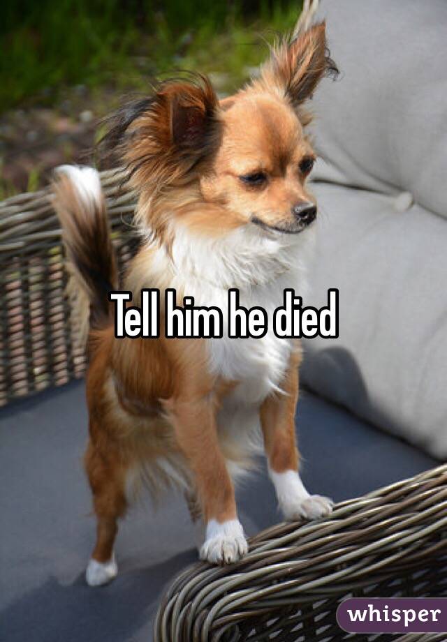 Tell him he died