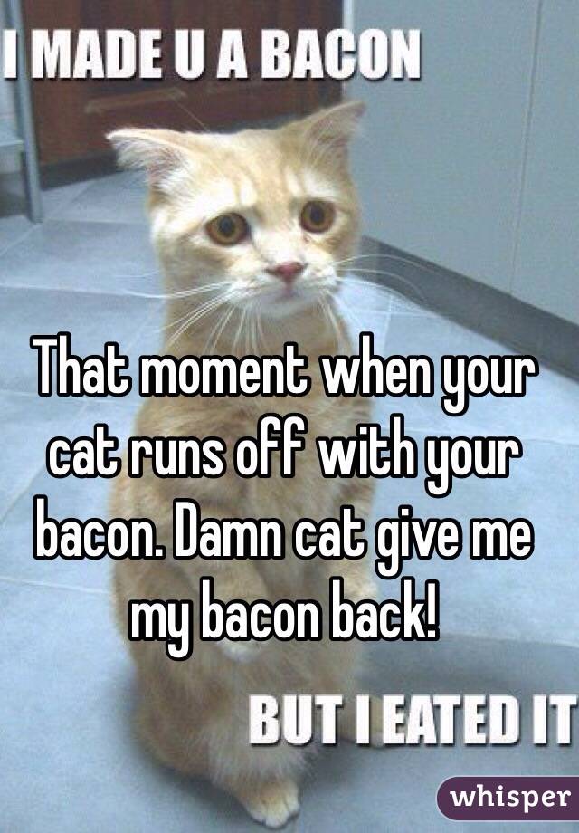 That moment when your cat runs off with your bacon. Damn cat give me my bacon back! 