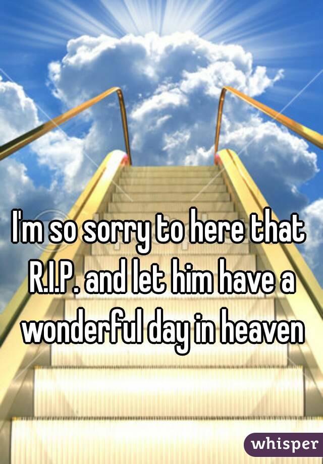 I'm so sorry to here that R.I.P. and let him have a wonderful day in heaven