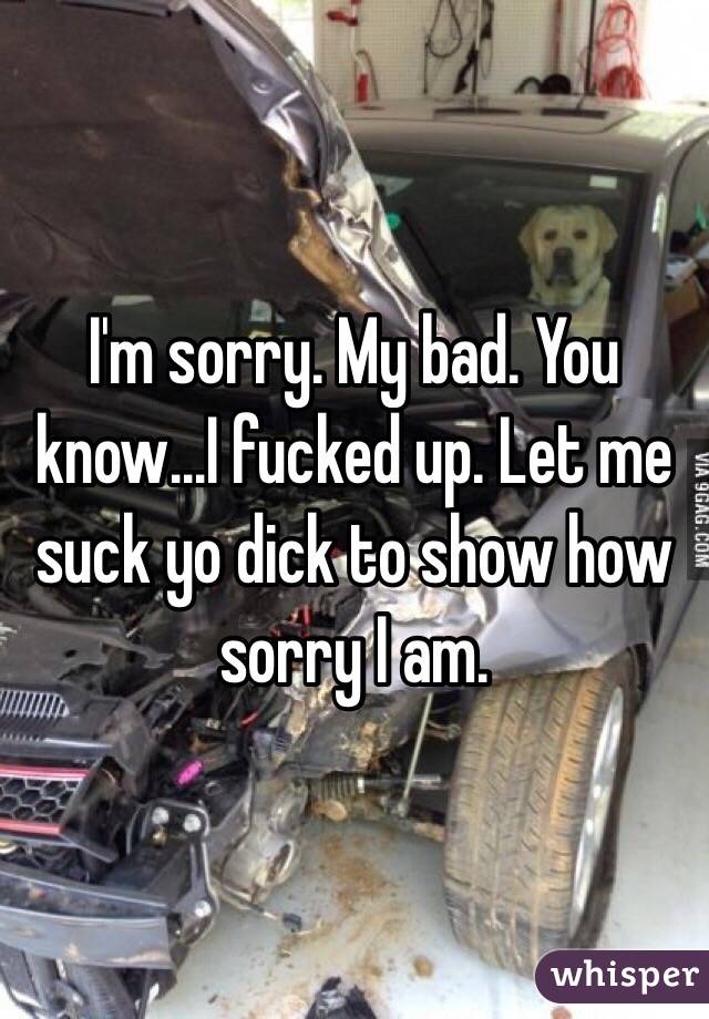 I'm sorry. My bad. You know…I fucked up. Let me suck yo dick to show how sorry I am. 