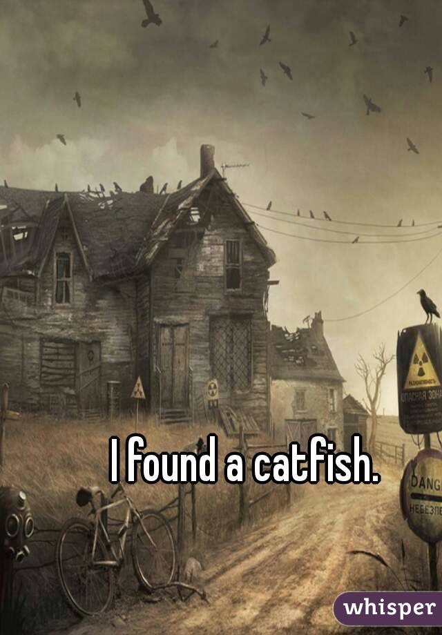 I found a catfish.