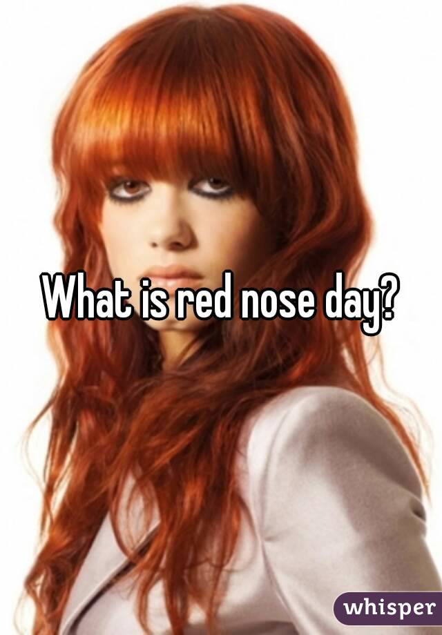 What is red nose day?