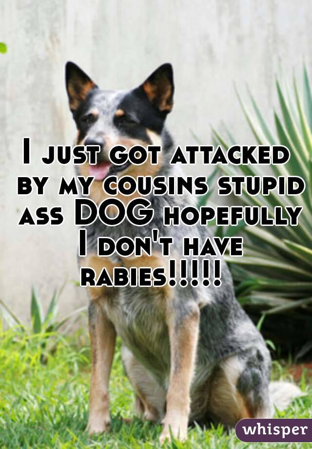 I just got attacked by my cousins stupid ass DOG hopefully I don't have rabies!!!!!  