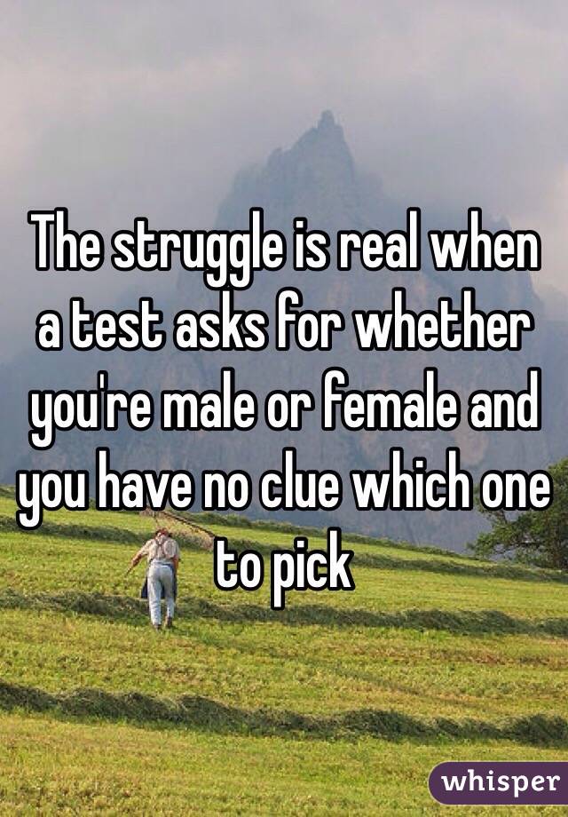 The struggle is real when a test asks for whether you're male or female and you have no clue which one to pick