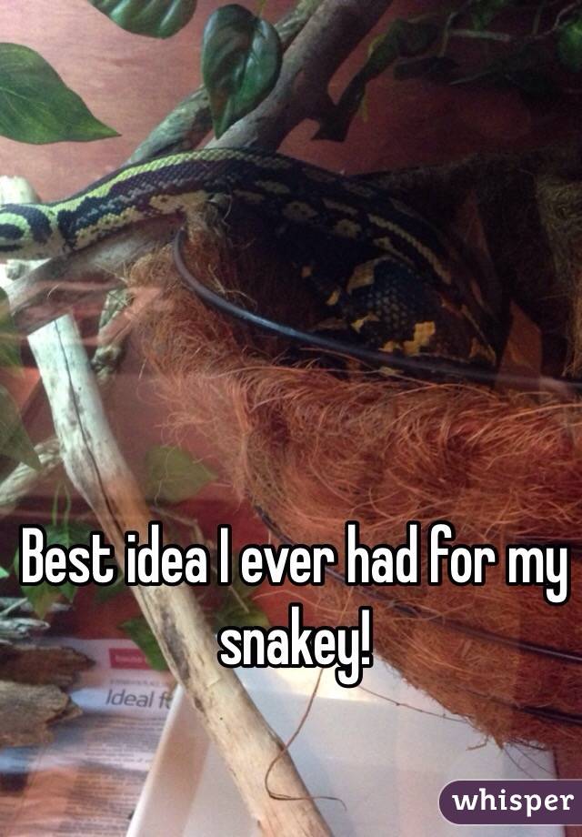 Best idea I ever had for my snakey! 
