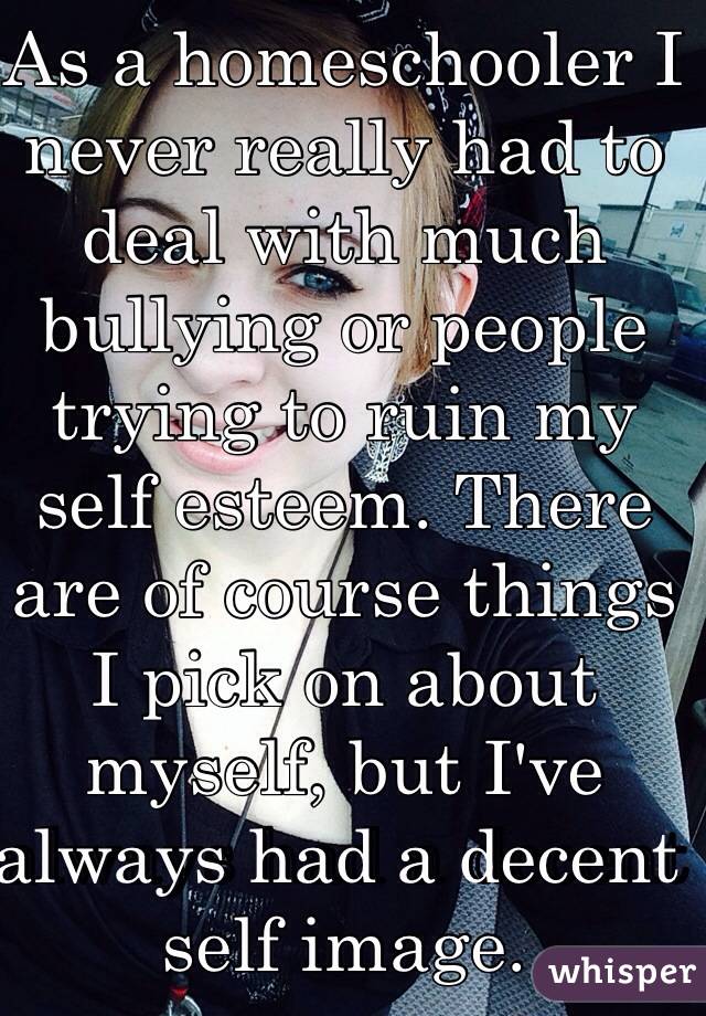 As a homeschooler I never really had to deal with much bullying or people trying to ruin my self esteem. There are of course things I pick on about myself, but I've always had a decent self image. 