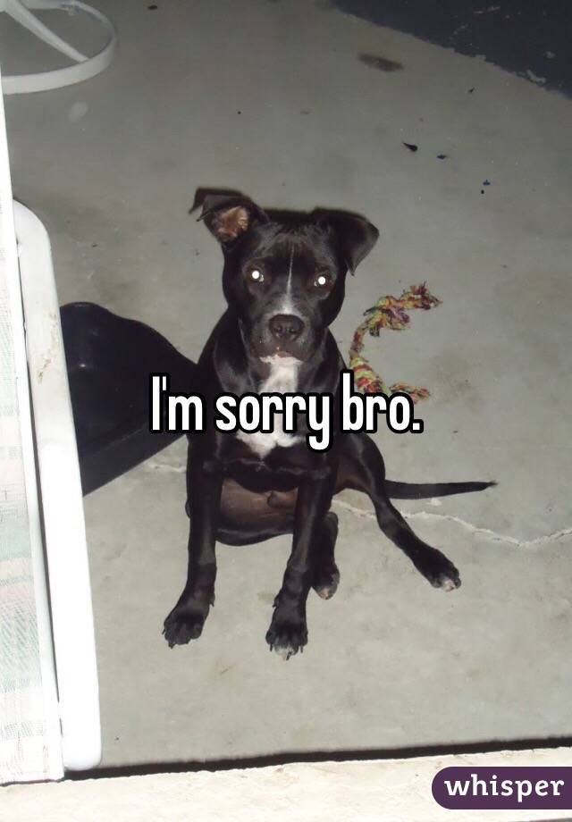 I'm sorry bro.