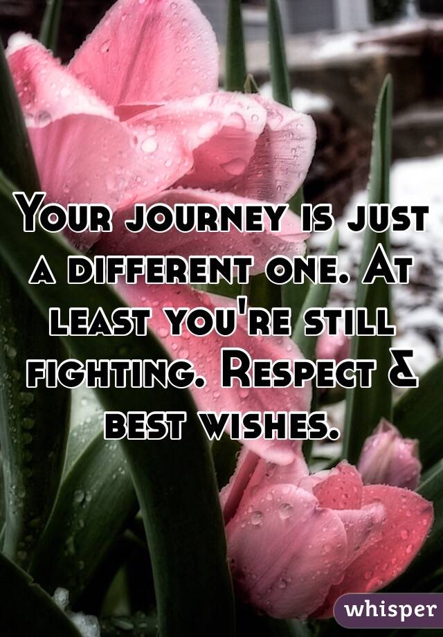 Your journey is just a different one. At least you're still fighting. Respect & best wishes.