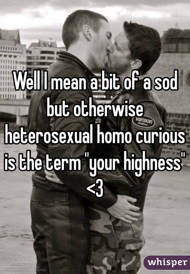 Well I mean a bit of a sod but otherwise heterosexual homo curious is the term "your highness" <3
