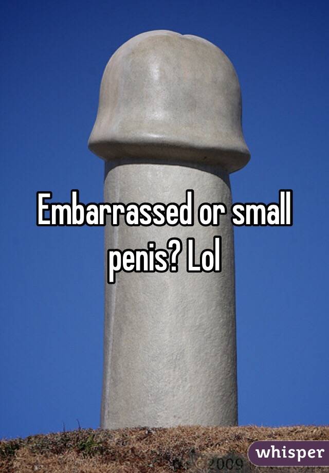 Embarrassed Small Penis 3