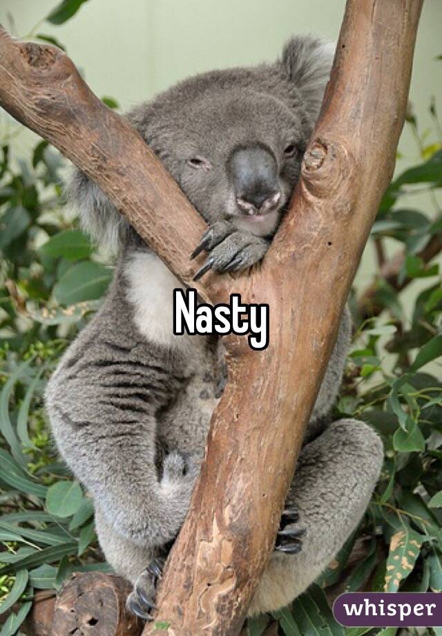 Nasty 