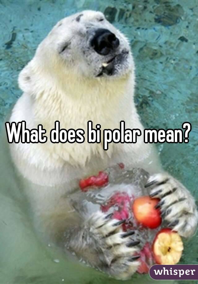 What does bi polar mean?