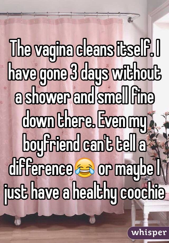 The vagina cleans itself. I have gone 3 days without a shower and smell fine down there. Even my boyfriend can't tell a difference😂 or maybe I just have a healthy coochie 