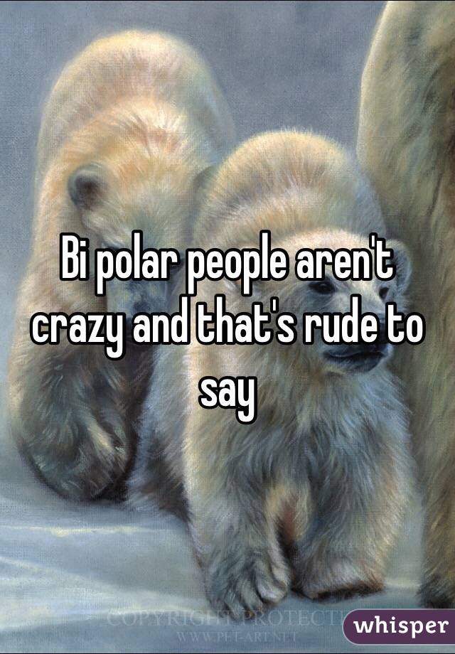 Bi polar people aren't crazy and that's rude to say 