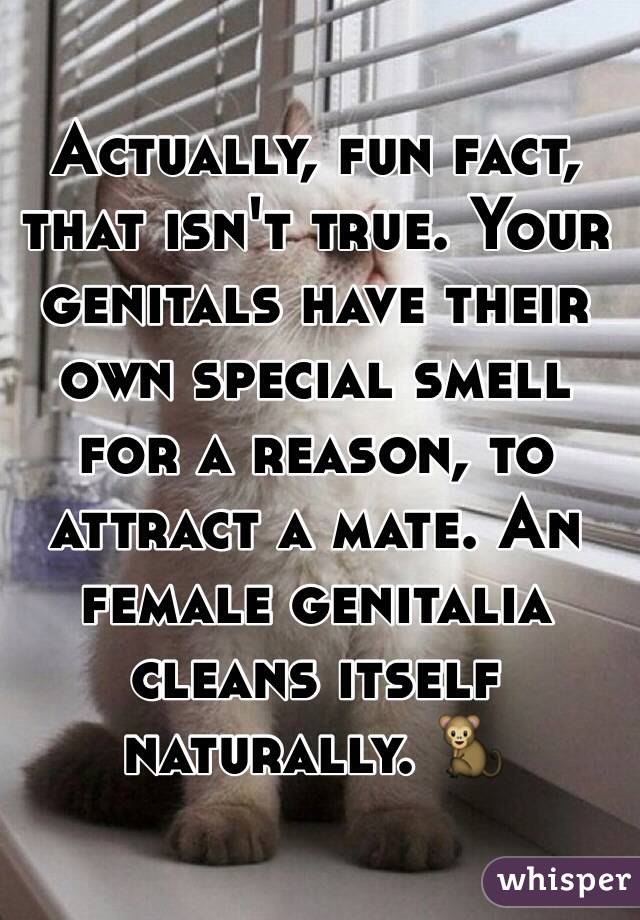 Actually, fun fact, that isn't true. Your genitals have their own special smell for a reason, to attract a mate. An female genitalia cleans itself naturally. 🐒