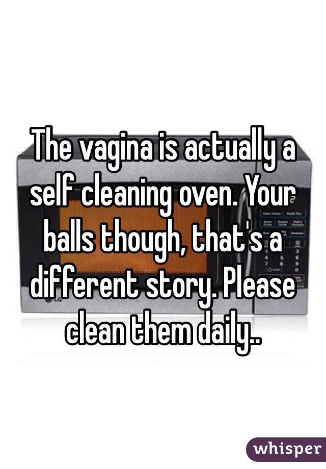The vagina is actually a self cleaning oven. Your balls though, that's a different story. Please clean them daily..