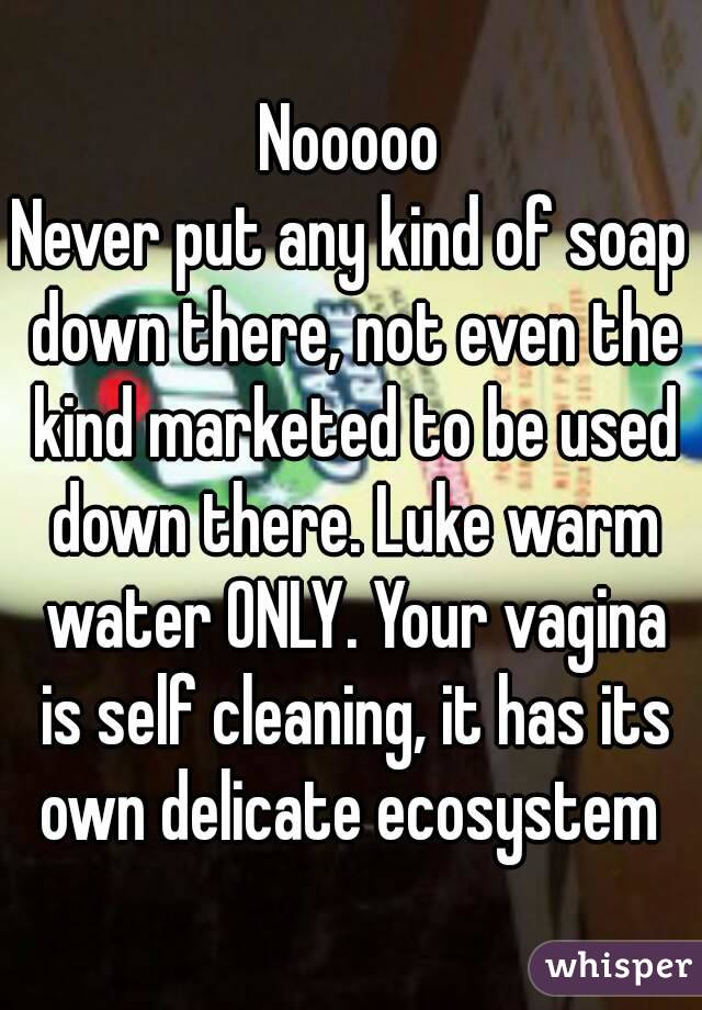 Nooooo
Never put any kind of soap down there, not even the kind marketed to be used down there. Luke warm water ONLY. Your vagina is self cleaning, it has its own delicate ecosystem 