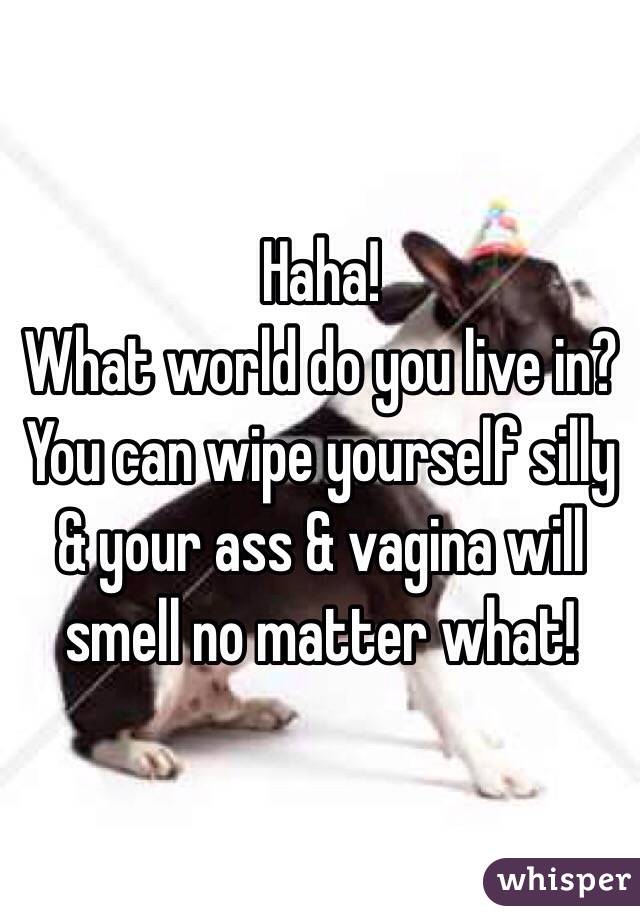 Haha!
What world do you live in?
You can wipe yourself silly & your ass & vagina will smell no matter what!