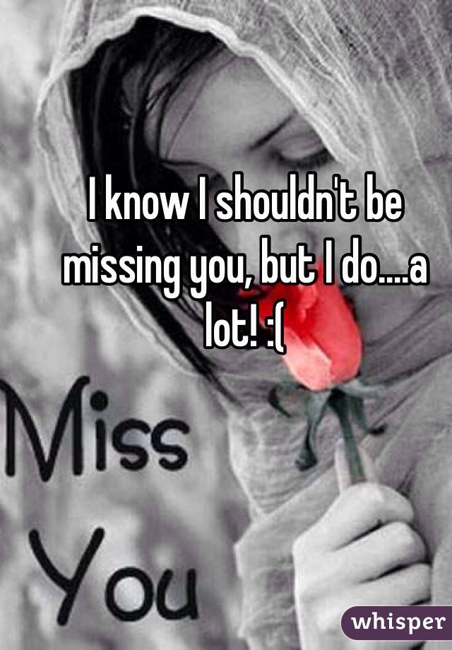 I know I shouldn't be missing you, but I do....a lot! :(