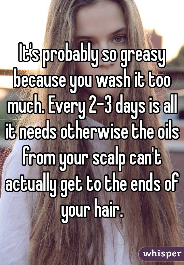 It's probably so greasy because you wash it too much. Every 2-3 days is all it needs otherwise the oils from your scalp can't actually get to the ends of your hair. 