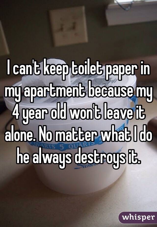 I can't keep toilet paper in my apartment because my 4 year old won't leave it alone. No matter what I do he always destroys it. 