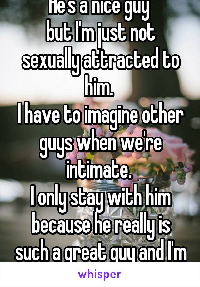 He's a nice guy 
but I'm just not sexually attracted to him. 
I have to imagine other guys when we're intimate. 
I only stay with him because he really is such a great guy and I'm tired of assholes.