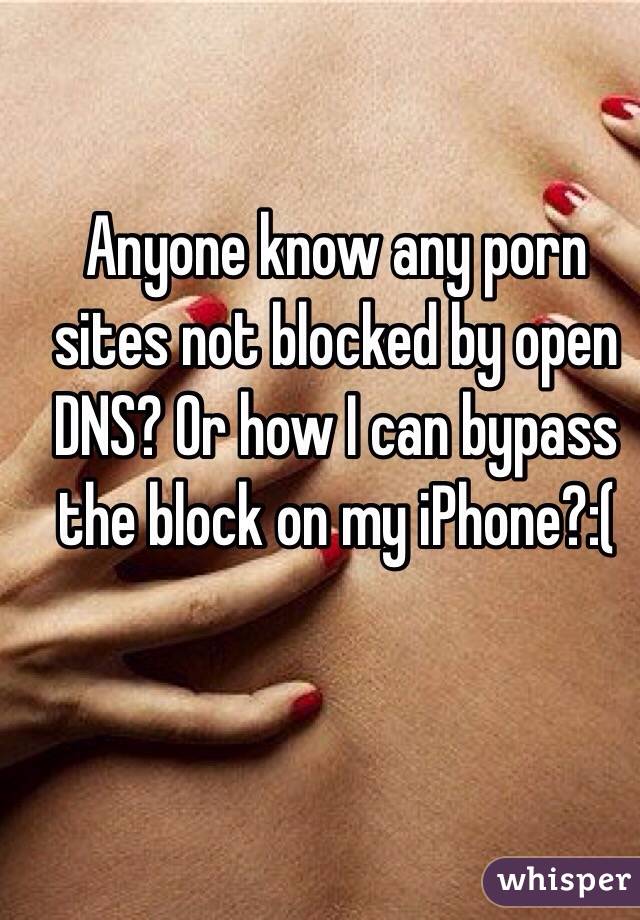 Anyone know any porn sites not blocked by open DNS? Or how I can bypass the block on my iPhone?:(