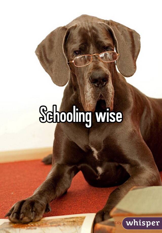 Schooling wise 