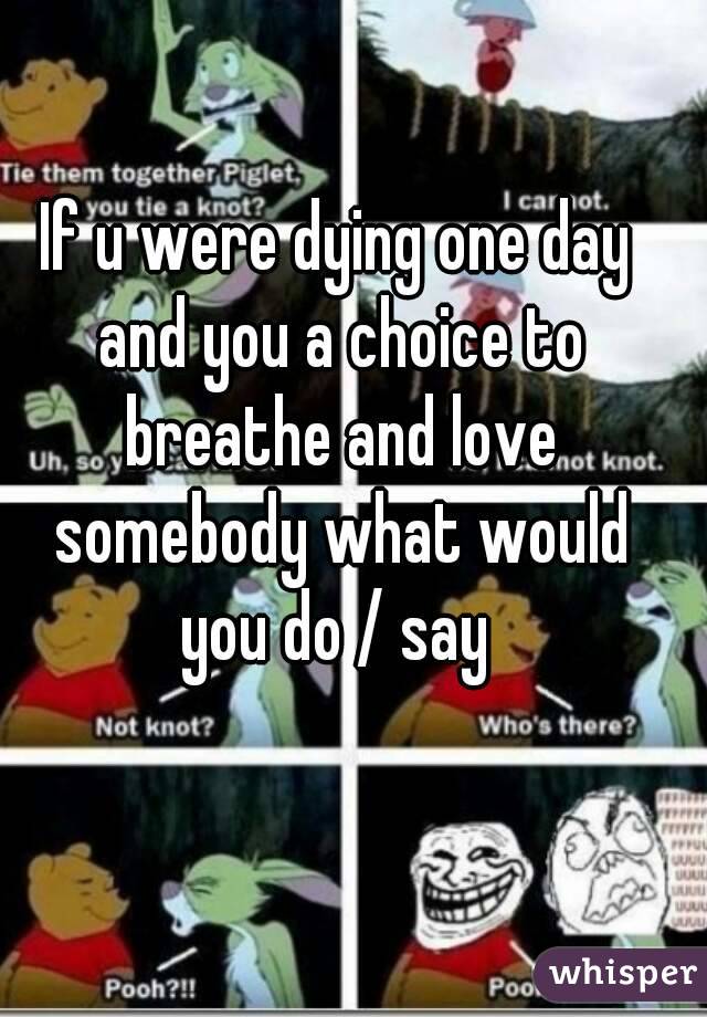 If u were dying one day and you a choice to breathe and love somebody what would you do / say 