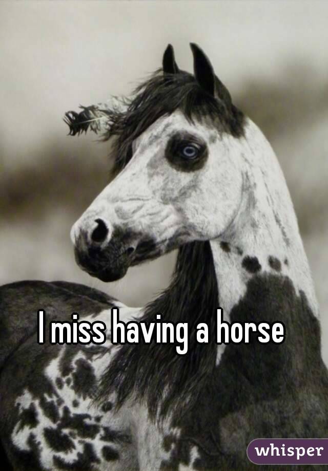 I miss having a horse