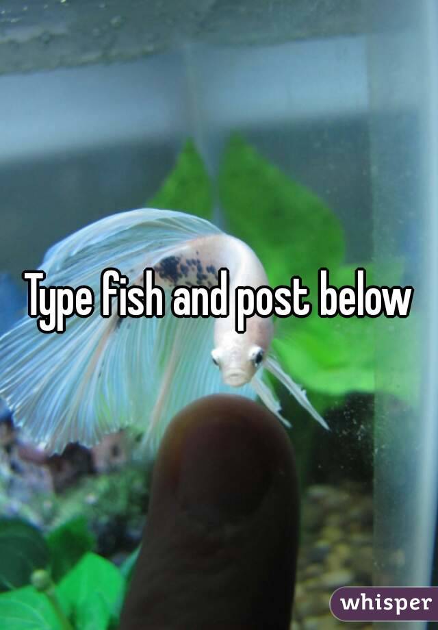 Type fish and post below