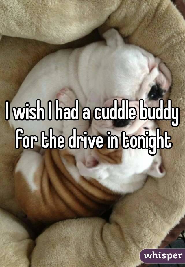 I wish I had a cuddle buddy for the drive in tonight
