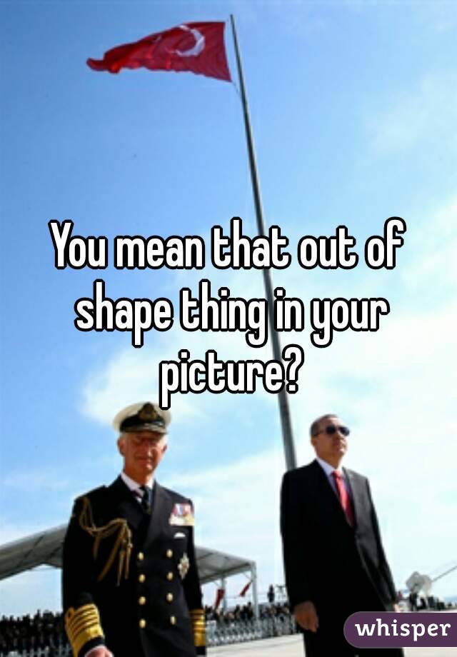 You mean that out of shape thing in your picture?