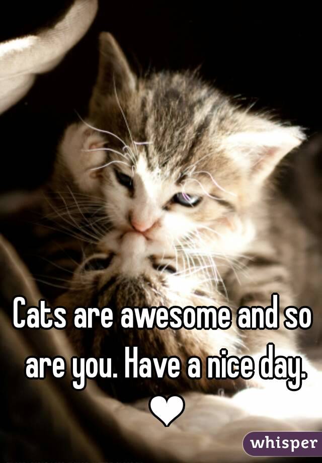 Cats are awesome and so are you. Have a nice day. ❤