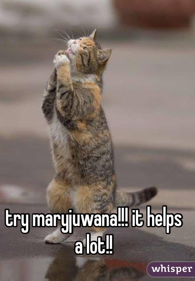 try maryjuwana!!! it helps a lot!!